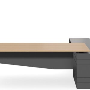 DD Geo Forum Executive Desk