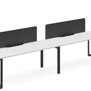DD Forum Workstation Single Sided For 2 Person