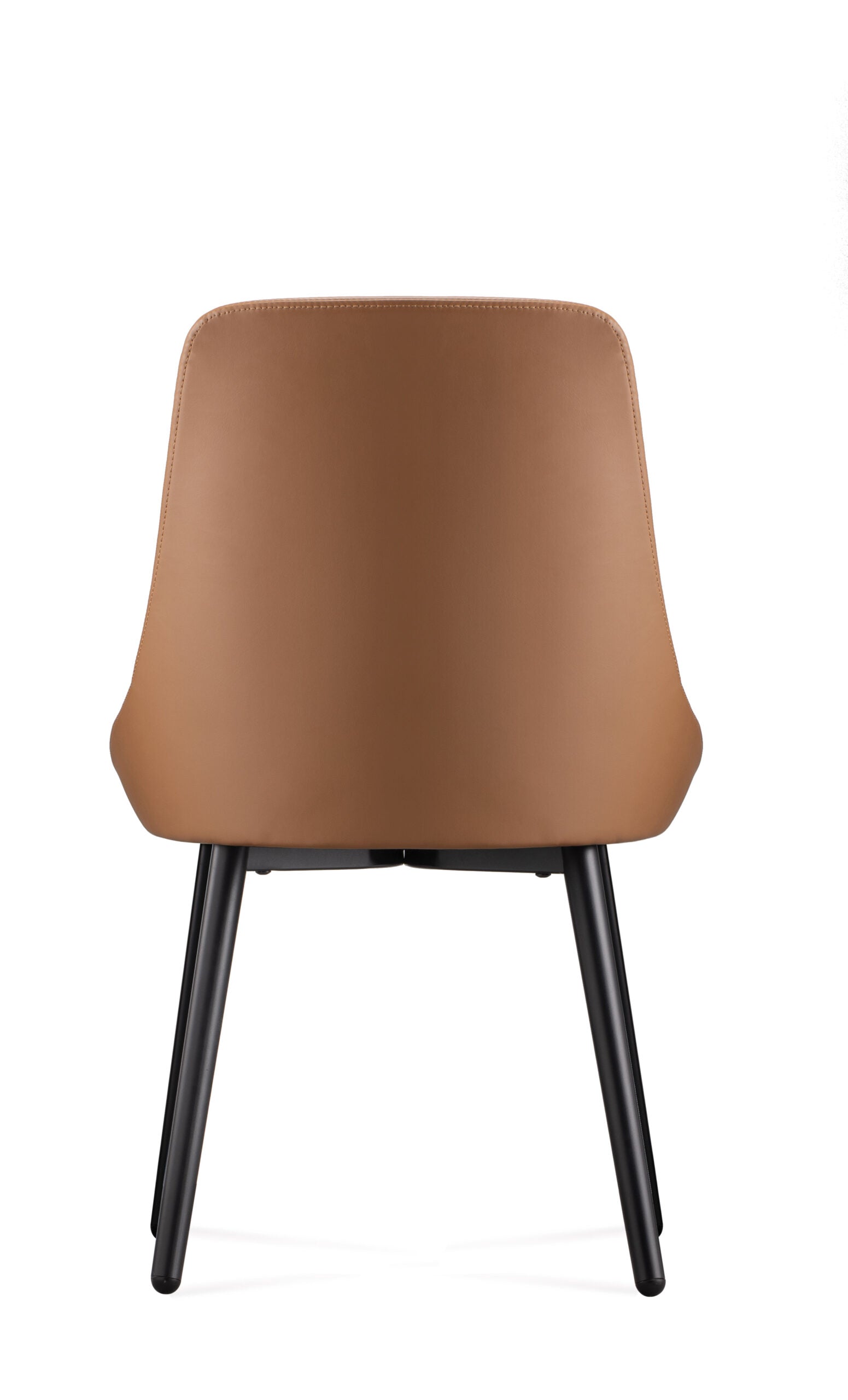 EROS-AMB-Back-1.jpg