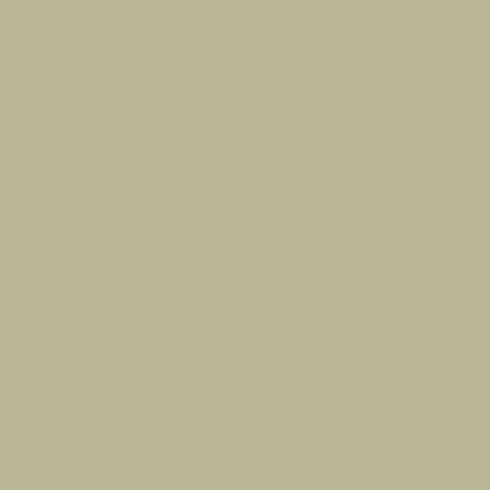 Fossil-3_81d76e40-fd2e-4893-976c-3669962188af.png