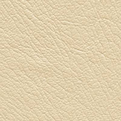 Matic_Vinyl_Coconut-3.jpg