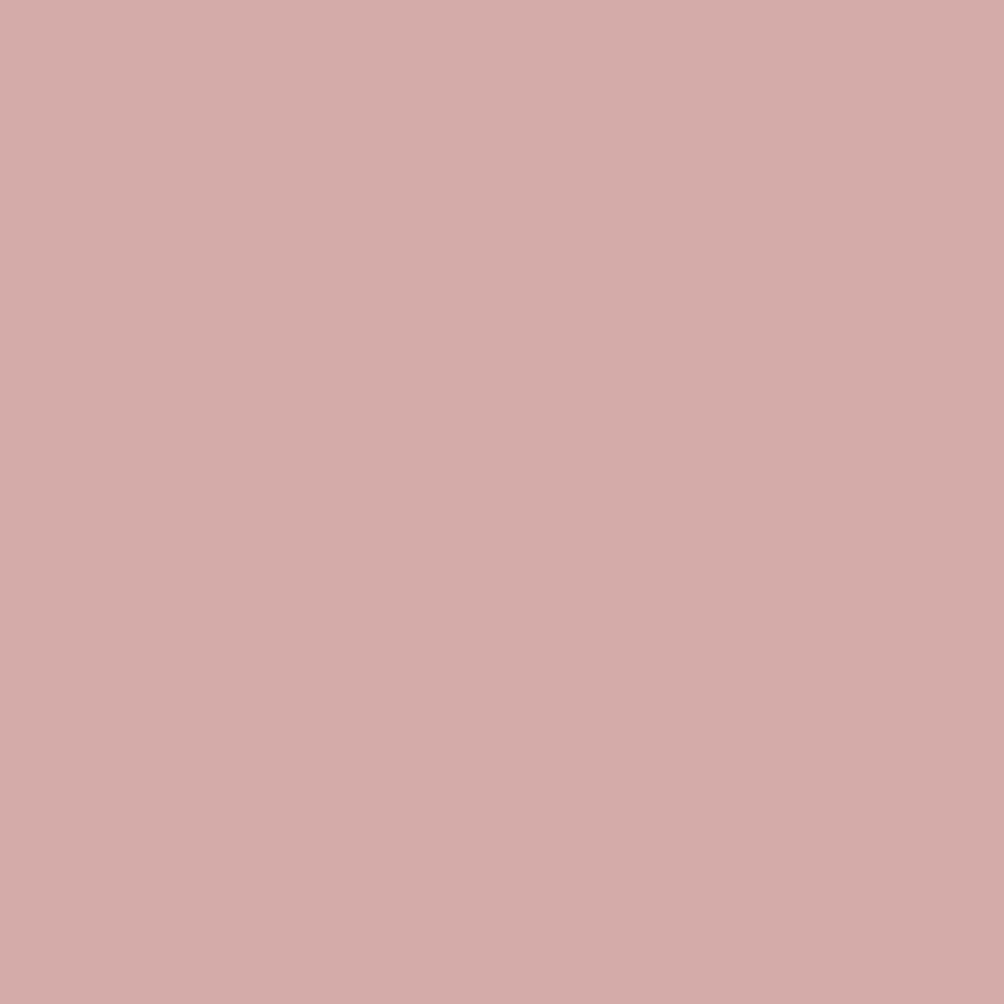 Salmon-6_4c33070d-92d7-4bc5-b6ed-822c8dc47492.png